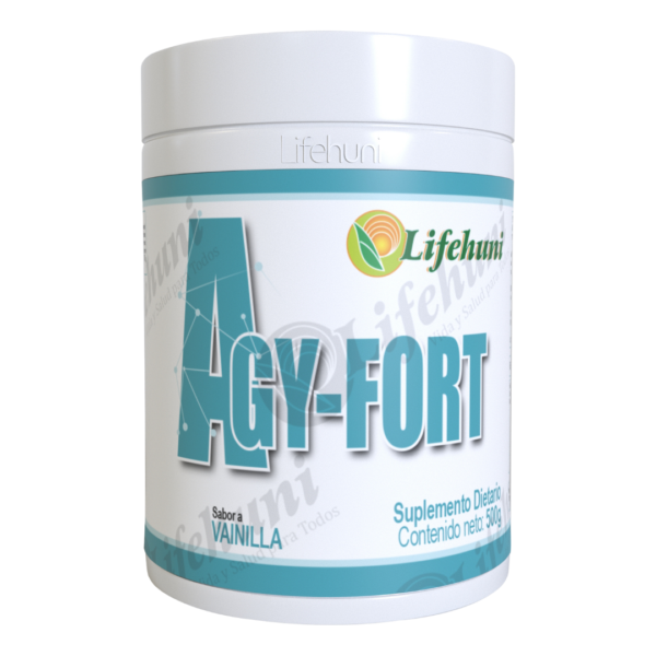 agy-fort 2