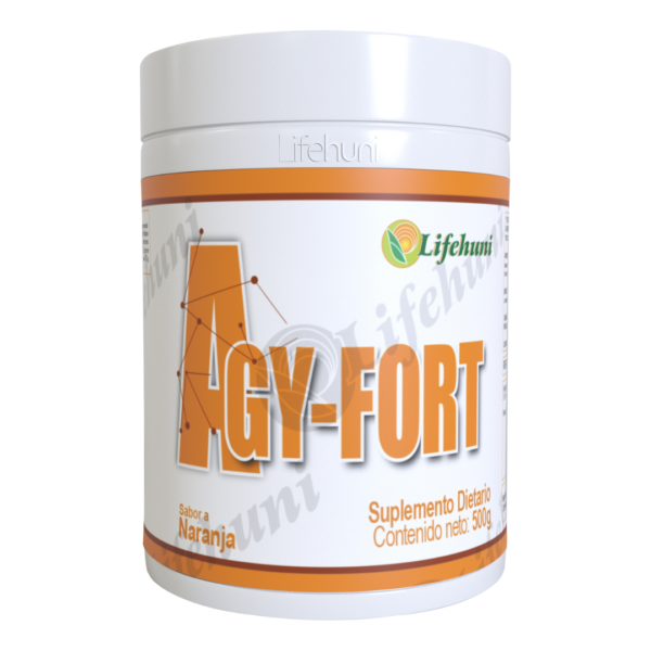 agy-fort 3